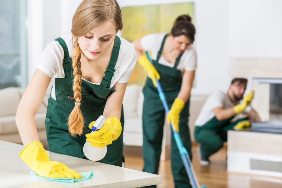 Sparkling Cleaning Service Solutions LLC's other services